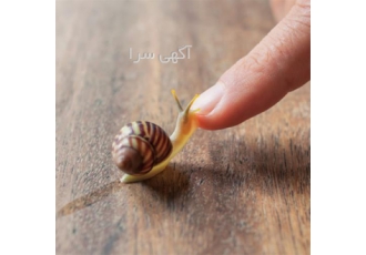 آموزش حلزون تراپی و پاکسازی پوست تخصصی