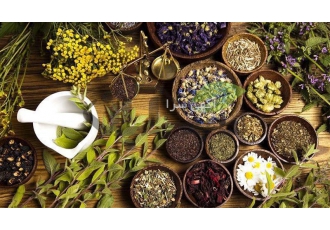 آموزشی روش های تکثیر گیاهان دارویی در اصفهان آموزشی روش های تکثیر