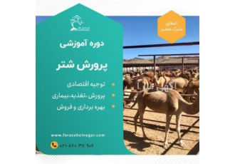 دوره آموزشی پرورش و پرواربندی شتر و تولید شیر شتر در تهران این دوره