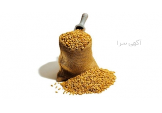 فروش انواع دان مرغ نغمه تورنگ طلایی طیور در تهران فروش انواع دان