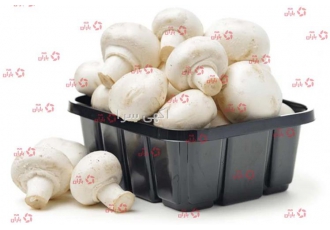 فروش ظرف قارچ 200 گرم ، 400 گرم ، 1000 گرم در رنگ های مختلف