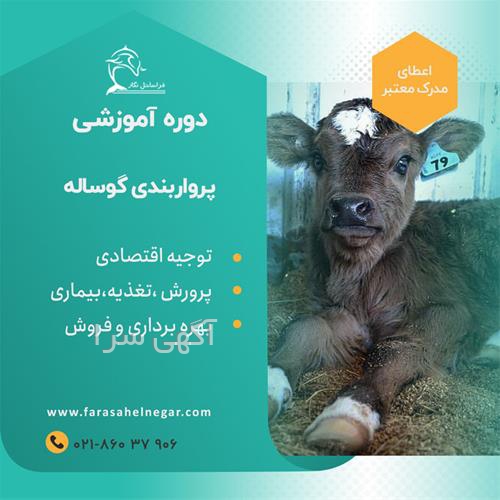 فروش کشتارگاه دام
