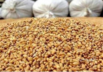 خرید فروش سویا دامی مرغوب و اعلا طیور در تهران خرید فروش سویا دامی
