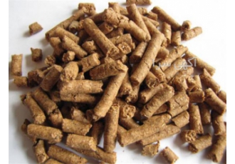 قیمت فروش دان بوقلمون گوشتی و تخم گذار - طیور