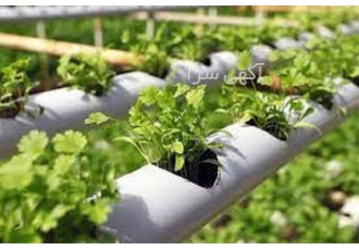 آموزش احداث گلخانه در تهران آموزش احداث گلخانه هیدروپونیک آموزش تخصصی