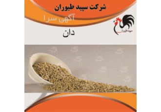 دان مرغ بومی تخمگذار درجه یک مستقیم ، طیور