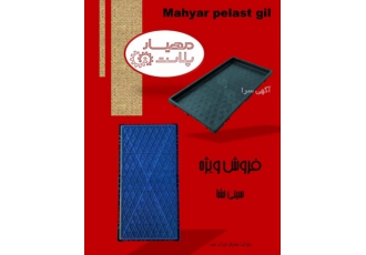 سینی نشا 700 گرمی (باکس نشا )
