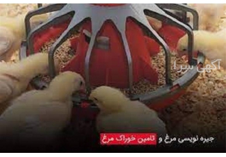 آموزش جیره نویسی طیور