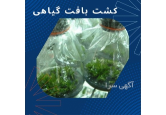 آموزش کشت بافت گیاهی در اصفهان اصول کشت بافت گیاهی ساده است و اساسا