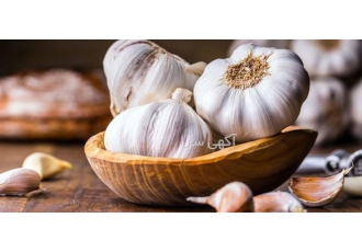 تولید تناژ حجمی عرق سیر محصولی از سیر تازه ی فصلی در کاشان تناژ عرق سیر