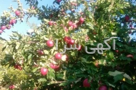 قطره تغییر رنگ چشم دیجی کالا