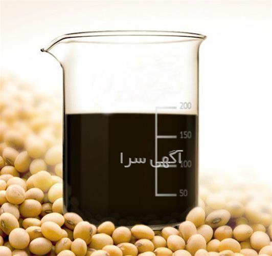 طیور شرق
