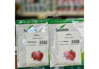 بذر گوجه فرنگی بدرو سمینیس با کیفیت بالا و مقاوم در برابر بیماری‌ها