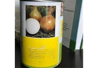 خرید بذر پیاز انزا با کیفیت بالا و قیمت مناسب