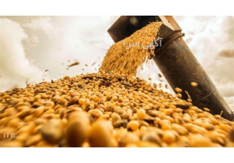 فروش دان مرغ گوشتی و تخمگذار طیور در تهران فروش دان مرغ گوشتی