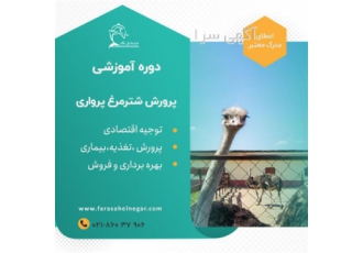 کارگاه آموزشی پرورش شترمرغ پرواری 100 درصد کاربردی
