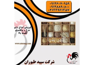 خرید و فروش دان طیور - طیور