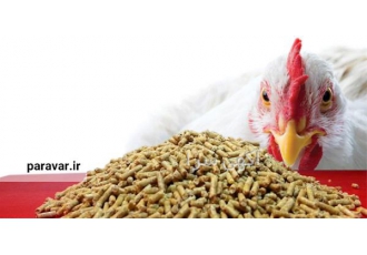 دان آماده مرغ بومی در تهران ارسال بار به سراسر کشور با کمترین هزینه حمل