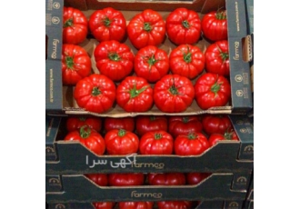 دوره آموزشی کشت صیفی جات گلخانه ای با مدرک