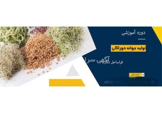 دوره آموزشی تولید جوانه خوراکی بسته بندی و فروش در تهران جوانه گیاهان