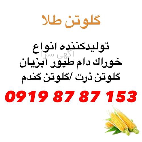 آگهی های خدمات طیور - چهارباغ