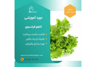 برگزاری دوره آموزشی پرورش کاهو آموزش کاشت کاهو در تهران برگزاری دوره