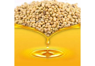 فروش روغن و کنجاله سویا قیمت مناسب