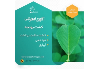 دوره آموزشی کاشت یونجه در زمین در تهران برخی سرفصل های این دوره کاشت