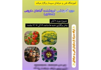 دوره جامع آموزش فروشنده گیاهان دارویی و پیوند زنی درختان باغی در مشهد