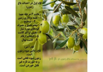 آموزش مجازی دوره های کشاورزی در کرج به هر رشته کشاورزی که علاقمند هستید