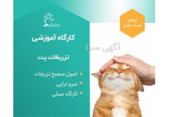 آموزش تزریقات حیوانات در منزل دامپزشکی و پت شاپ
