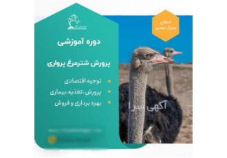 دوره کاربردی پرورش شترمرغ با مدرک زیر نظر جهاد در تهران دوره آموزشی