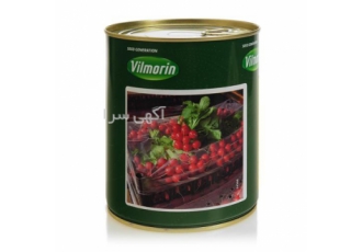 بذر تربچه تینتو