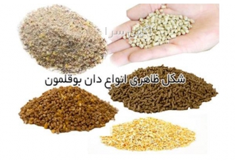 قیمت فروش پیش دان بوقلمون - طیور