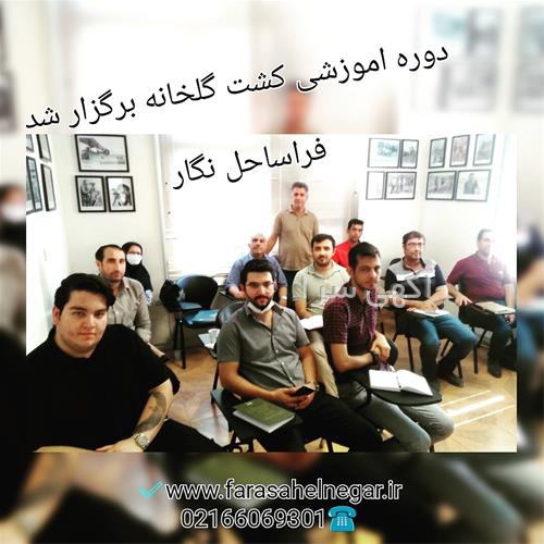گلخانه موز