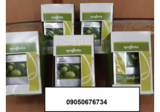 سفارش بذر هندوانه 8040