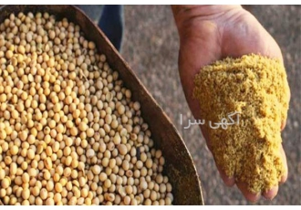 دان مرغ گوشتی با کیفیت عالی و قیمت مناسب ، فروش ویژه در صنعت طیور