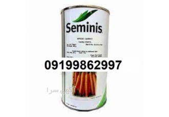 فروش بذر هویج سمینیس - پرفروش و اصل فروش بذر هویج سمینیس - پرفروش و اصل