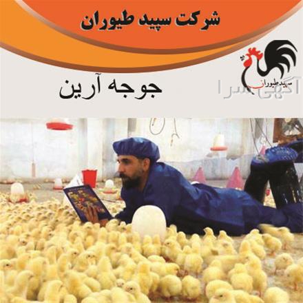 آگهی های کشاورزی و دامداری - بهار