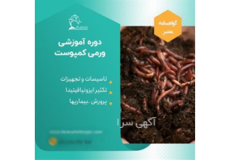آموزش ورمی کمپوست به صورت جامع و کاربردی در تهران دوره آموزش ورمی