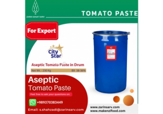 Aseptic tomato paste from Iran