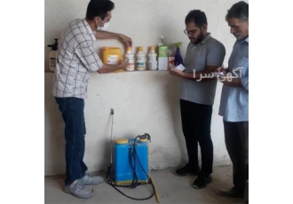 دوره طلایی شترمرغ - آموزش پرورش شترمرغ