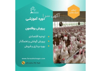 دوره آموزشی جامع پرورش و تولید بوقلمون در تهران قبل از شروع به کار