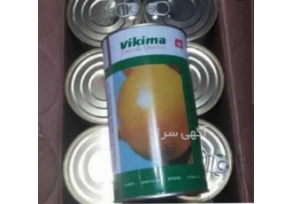 فروش ویژه بذر پیاز ویکیما تخفیف ویژه