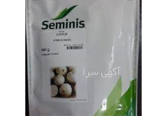 فروش بذر پیاز سایروس در مشهد پیاز سایروس رقمی میان رس محسوب می شود