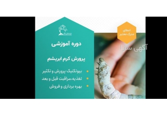 دوره آموزشی تولید پیله ابریشم خالص در تهران ابریشم خالص و طبیعی