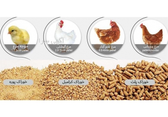 قیمت فروش دان مرغ تخم گذار صنعتی طیور در تهران قیمت فروش دان مرغ تخم