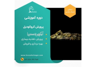 برگزاری دوره آموزشی پرورش کروکودیل با مدرک شیلات در تهران شرایط محل