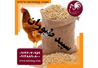 عرضه کننده دان مرغ تخم گذار شرکتی طیور در تهران عرضه کننده دان مرغ