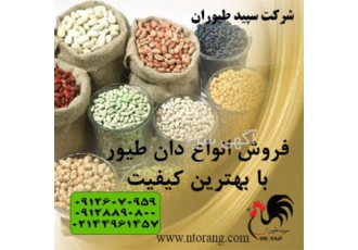 فروش انواع دان طیور و خوراک طیور - طیور